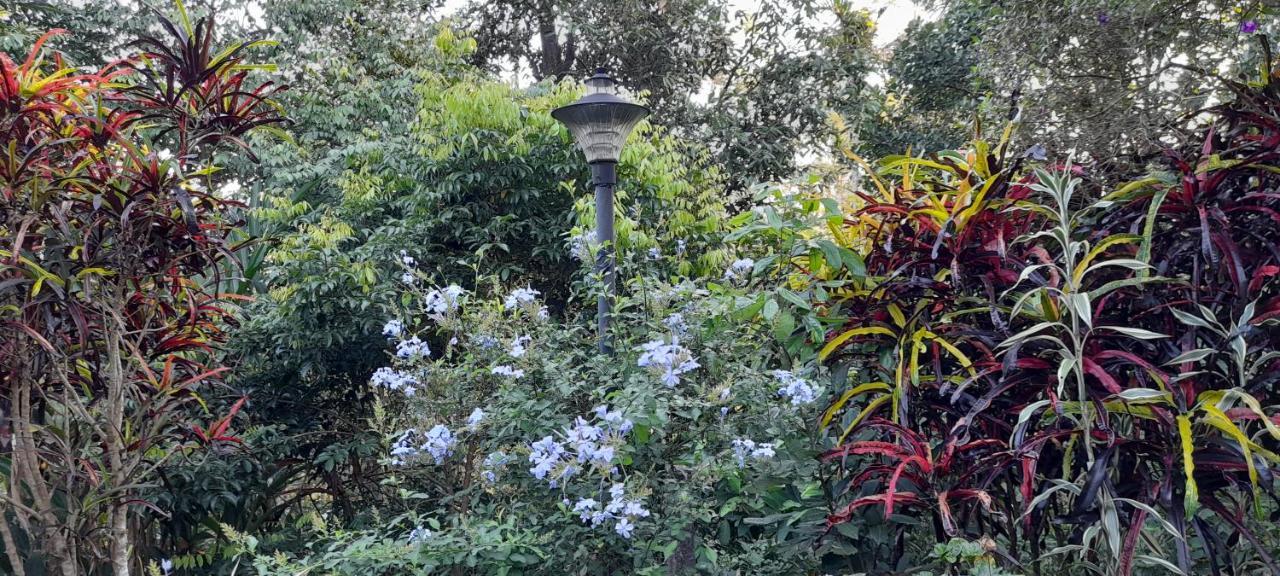 Le Farmhouse Munnar Anachal Exterior foto